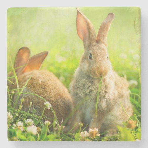 Easter Rabbits Stone Coaster