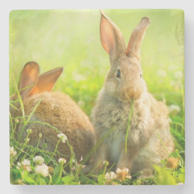 Easter Rabbits Stone Coaster (Front)