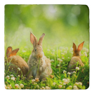 Easter Rabbits Trivet
