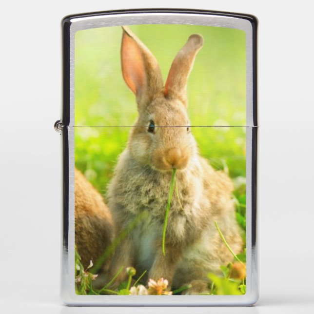 Easter Rabbits Zippo Lighter (Front)