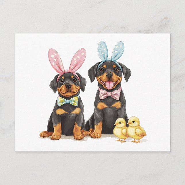 Easter Rottweiler Dogs Bunny Ears Holiday Postcard (Front)