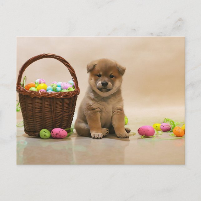 Easter Shiba Inu Holiday Postcard (Front)