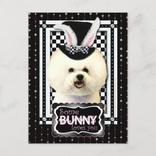 Easter - Some Bunny Loves You - Bichon Frise Holiday Postcard