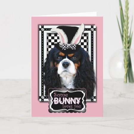 Easter - Some Bunny Loves You - Cavalier Tricolor Holiday Card