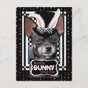Easter - Some Bunny Loves You - Chihuahua Holiday Postcard