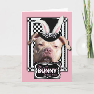 Easter - Some Bunny Loves You - Pitbull Holiday Card