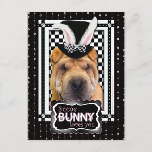 Easter - Some Bunny Loves You - Shar Pei Holiday Postcard