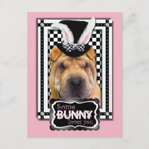 Easter - Some Bunny Loves You - Shar Pei Holiday Postcard