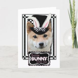Easter - Some Bunny Loves You - Shiba Inu Holiday Card