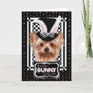 Easter - Some Bunny Loves You - Yorkie Holiday Card