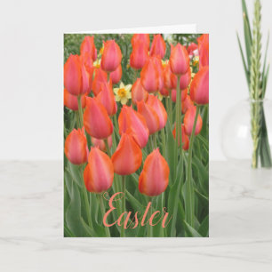 Easter Tulips Card