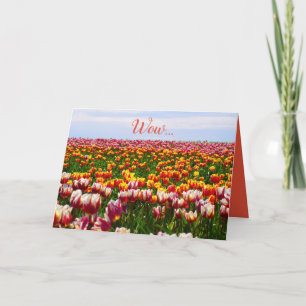 Easter, tulips, flowers, colorful, funny card