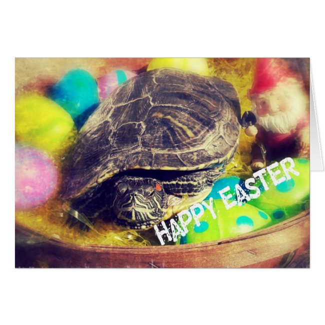 Easter Turtle