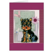EASTER YORKIE POO (Front)
