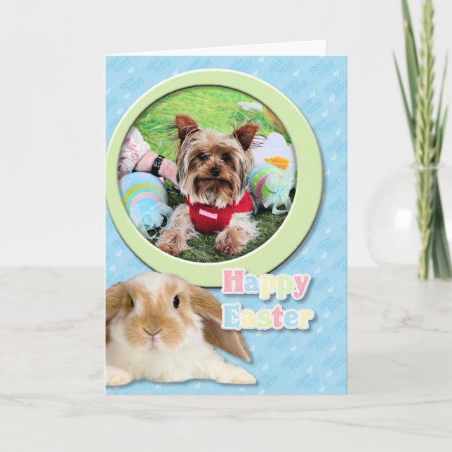 Easter - Yorkshire Terrier - Sassy Holiday Card (Front)