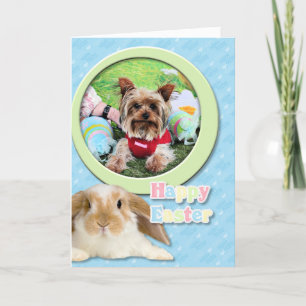 Easter - Yorkshire Terrier - Sassy Holiday Card