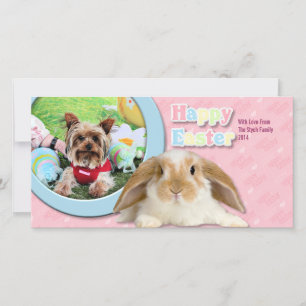 Easter - Yorkshire Terrier - Sassy Holiday Card