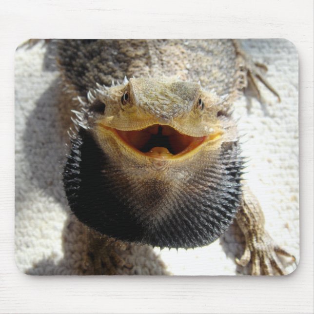Eastern Bearded Dragon - Pogona barbata Mouse Pad (Front)