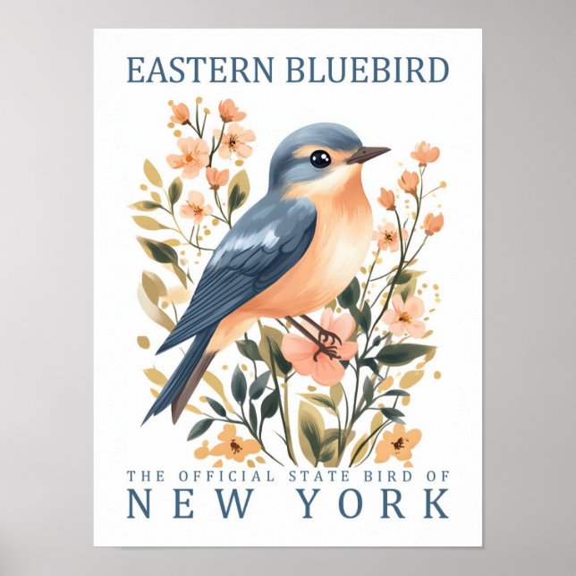 Eastern Bluebird Bird of New York USA Poster (Front)