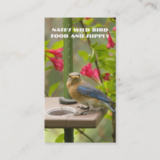 Eastern Bluebird Business Card (Front)