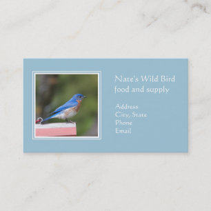 Eastern Bluebird Business Card