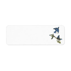Eastern Bluebird by Audubon Label