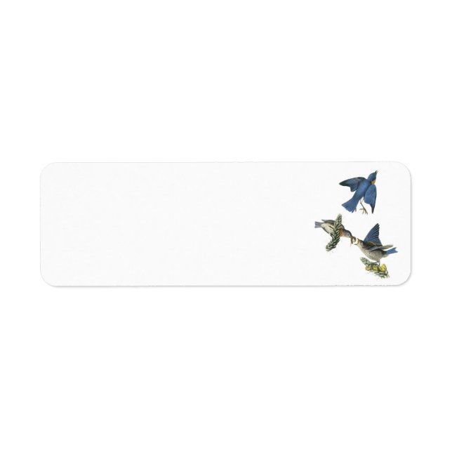 Eastern Bluebird by Audubon Label (Front)