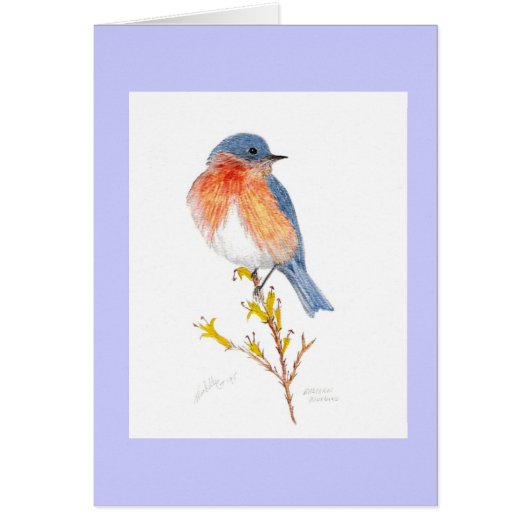 eastern bluebird cards (Front)
