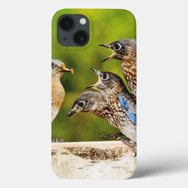 Eastern Bluebird Case-Mate iPhone Case (Back)
