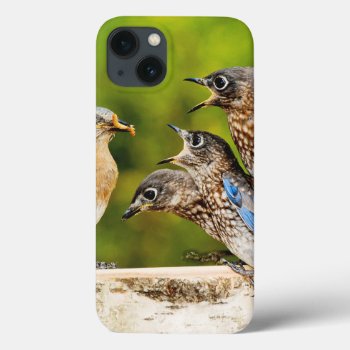 Eastern Bluebird Iphone 13 Case by birdsandblooms at Zazzle