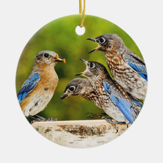 Eastern Bluebird Ceramic Ornament (Front)