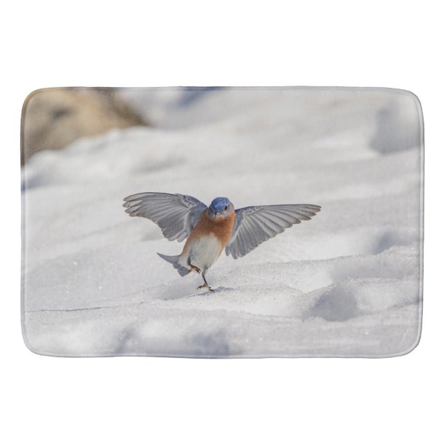 Eastern Bluebird dancing in the snow Bathroom Mat (Front)