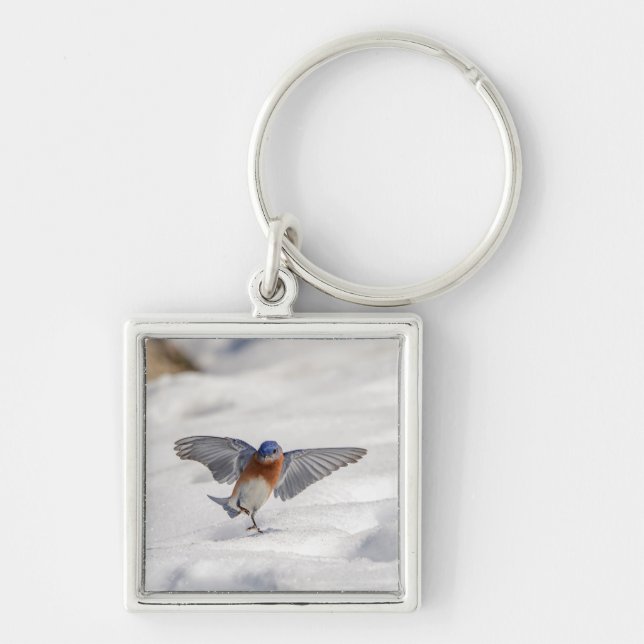 Eastern Bluebird dancing in the snow Keychain (Front)