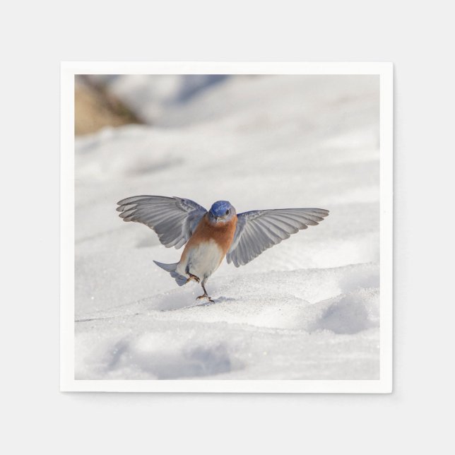 Eastern Bluebird dancing in the snow Napkins (Front)