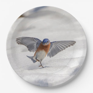 Eastern Bluebird dancing in the snow Paper Plates