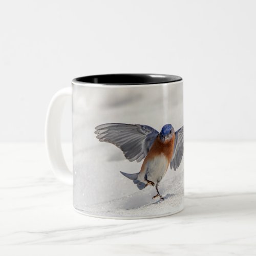 Eastern Bluebird dancing in the snow Two_Tone Coffee Mug