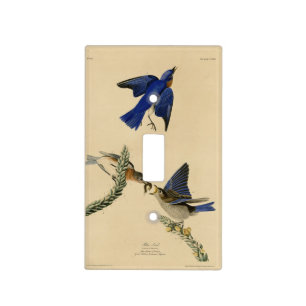 Eastern Bluebird from Audubon's Birds of America Light Switch Cover