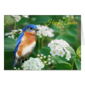 Eastern Bluebird Greeting Card (Front Horizontal)