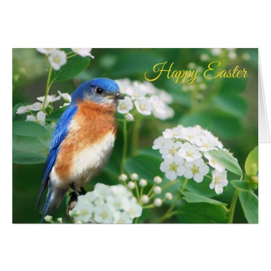 Eastern Bluebird Greeting Card (Front Horizontal)