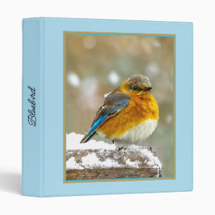 Eastern Bluebird in Snow - Original Photograph 3 Ring Binder