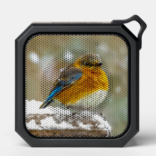 Eastern Bluebird in Snow - Original Photograph Bluetooth Speaker
