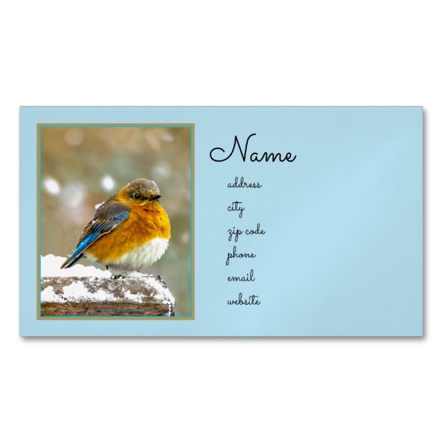 Eastern Bluebird in Snow - Original Photograph Business Card Magnet (Front)