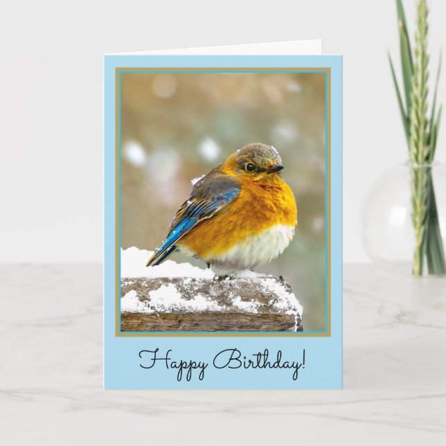 Eastern Bluebird in Snow - Original Photograph Card (Front)