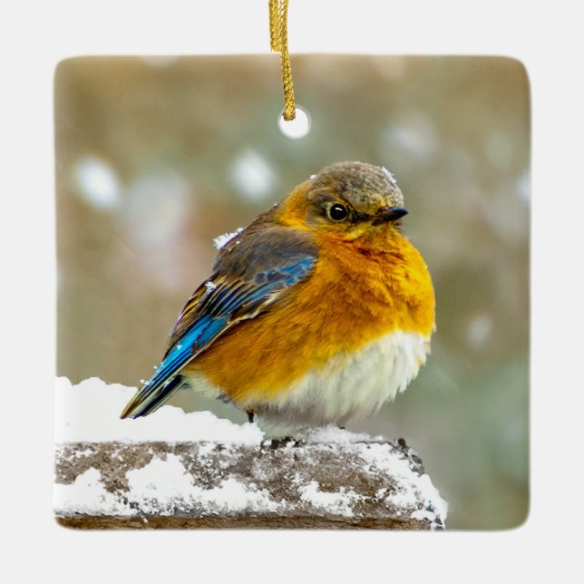 Eastern Bluebird in Snow - Original Photograph Ceramic Ornament (Front)