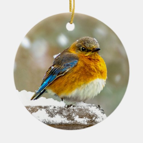 Eastern Bluebird in Snow _ Original Photograph Ceramic Ornament