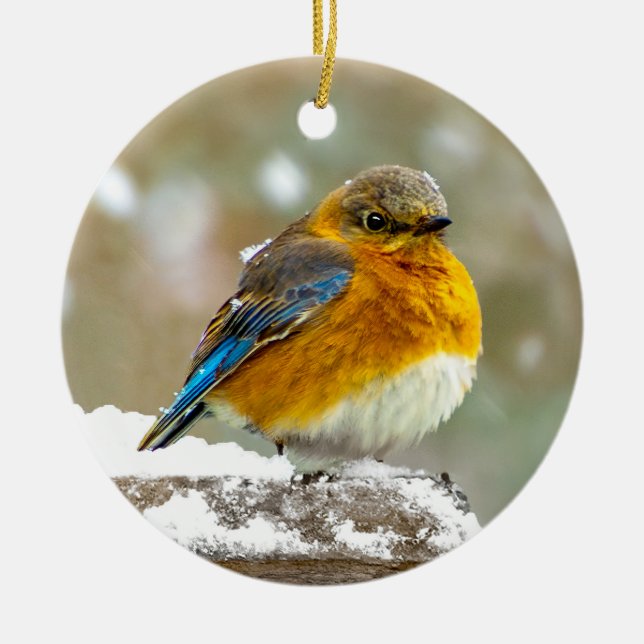 Eastern Bluebird in Snow - Original Photograph Ceramic Ornament (Front)