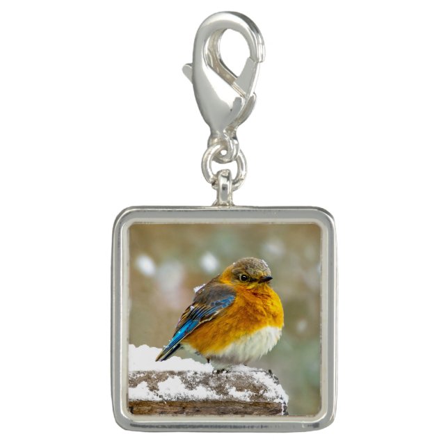 Eastern Bluebird in Snow - Original Photograph Charm (Front)
