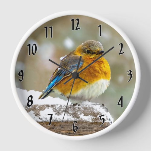 Eastern Bluebird in Snow _ Original Photograph Clock