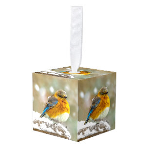 Eastern Bluebird in Snow - Original Photograph Cube Ornament