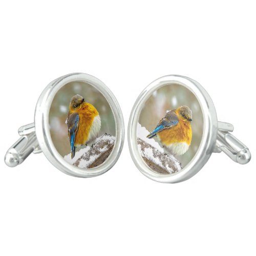 Eastern Bluebird in Snow _ Original Photograph Cufflinks